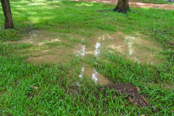 Storm Water Drainage Service in Glendale