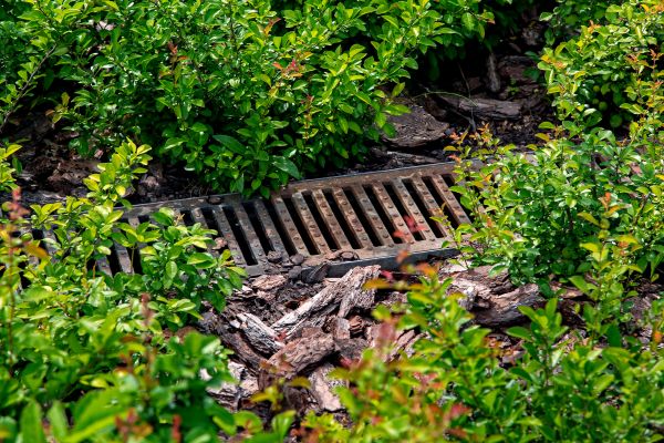 Underground Drainage Service in Glendale