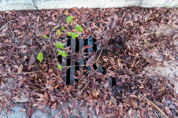 Yard Drain Unclogging in Glendale
