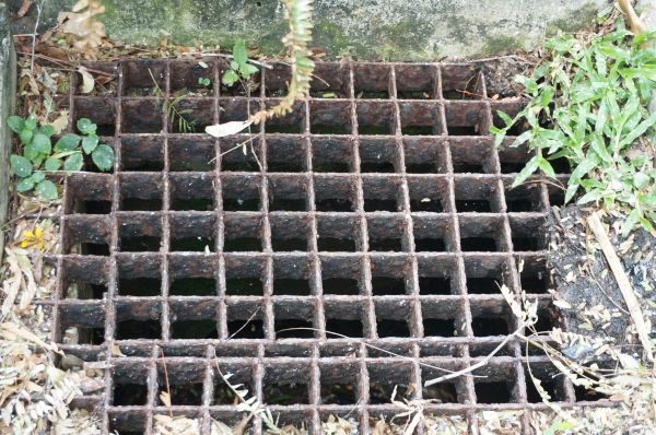 Yard Drain Cleaning in Glendale