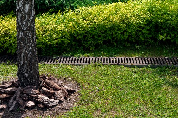 Wet Yard Drainage in Glendale