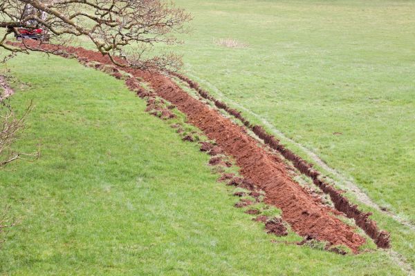 Cost of Swale Installation in Glendale