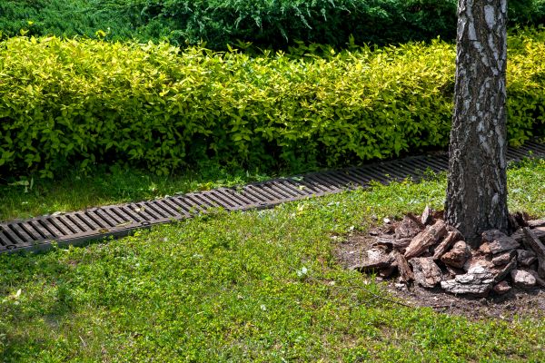 Residential Landscape Drainage in Glendale