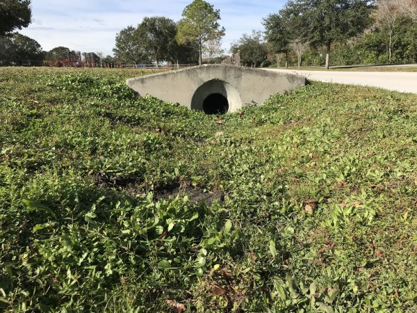 Cost of Swale Drainage Service in Glendale